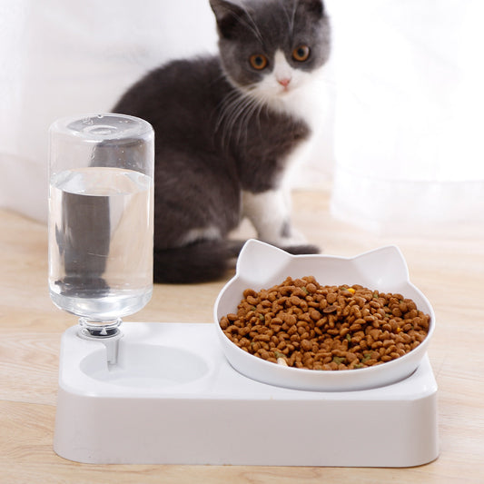 Automatic Water and Food Dish