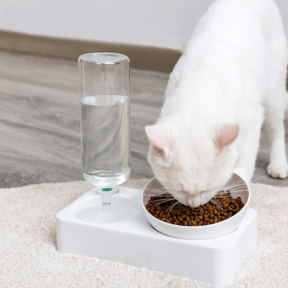 Automatic Water and Food Dish