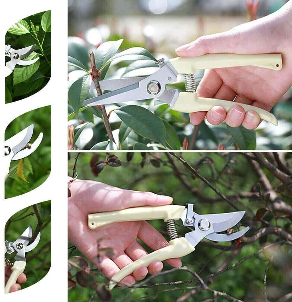 2 Pack Garden Shears