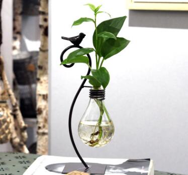 Hydroponic Plant Vessel with Steel Stand