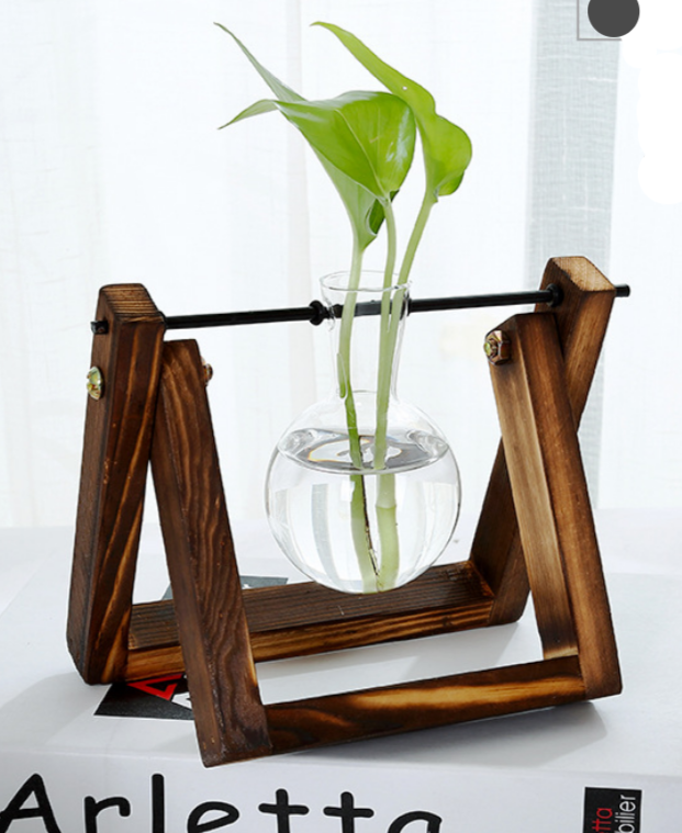 Glass Tabletop Plant Vessel