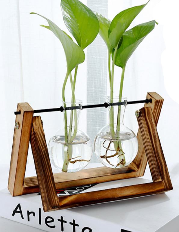 Glass Tabletop Plant Vessel