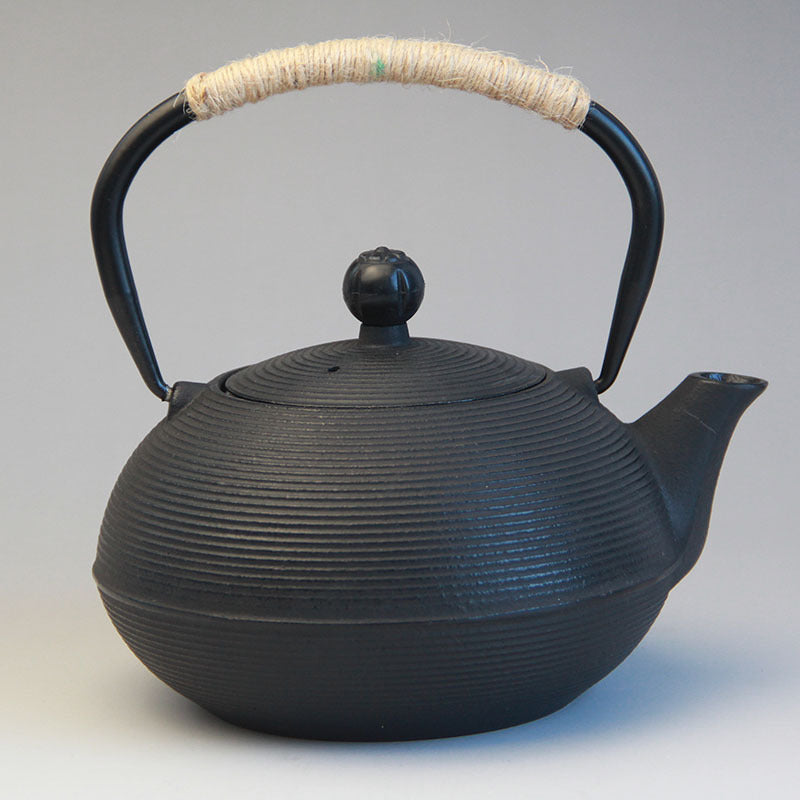 Cast Iron Tea Kettle