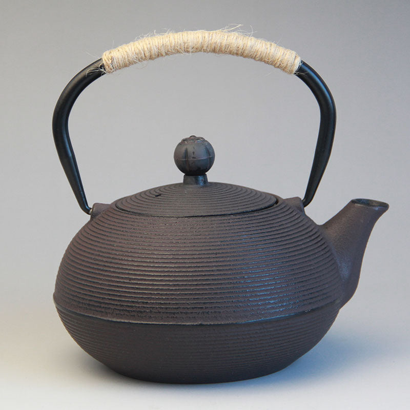 Cast Iron Tea Kettle