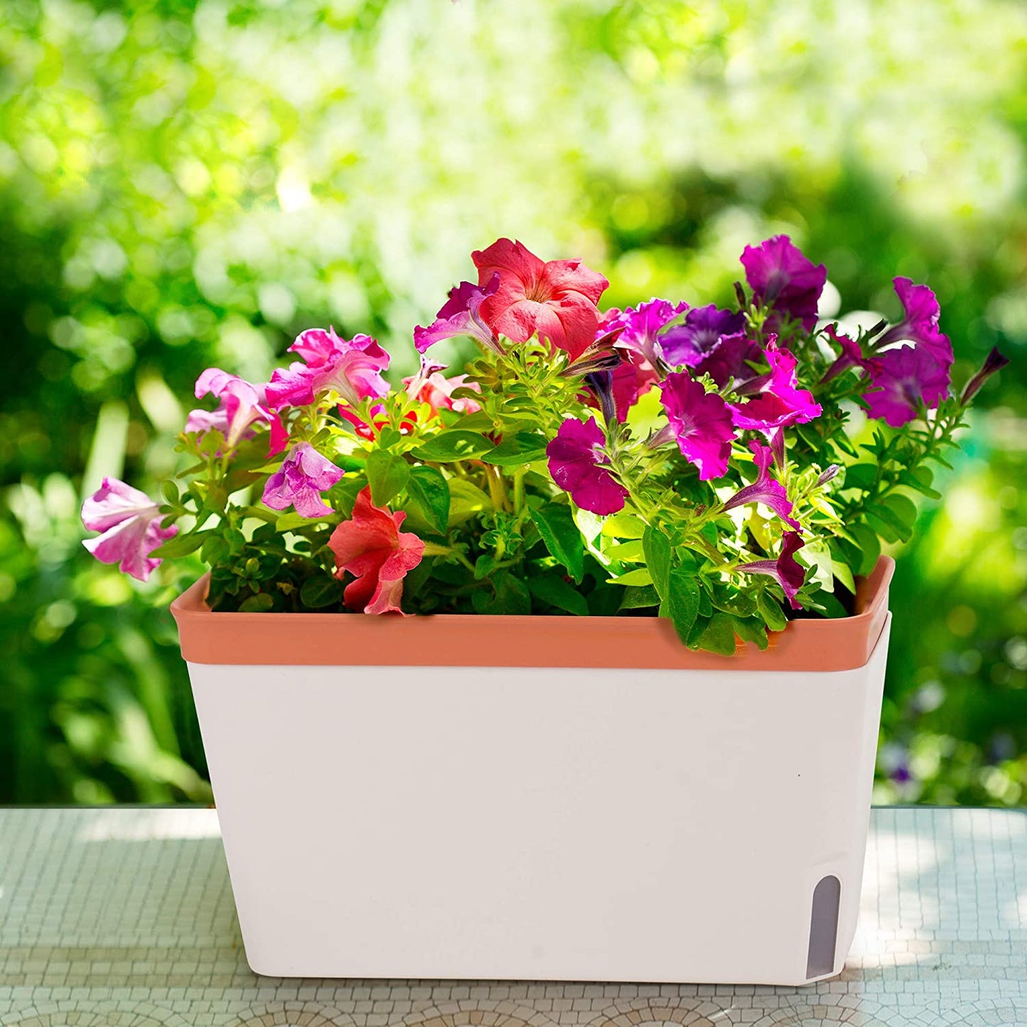 Window Planter Box - 3 Pack