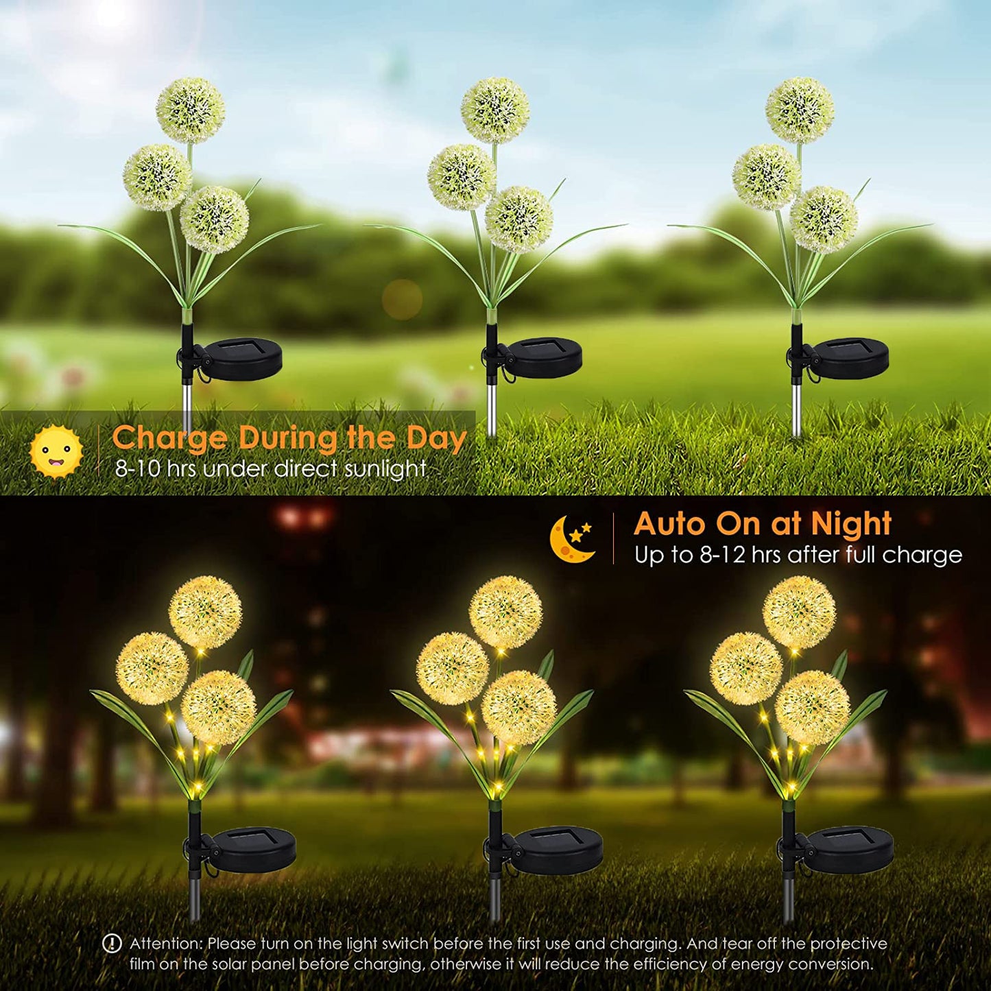 Solar Dandelion Light