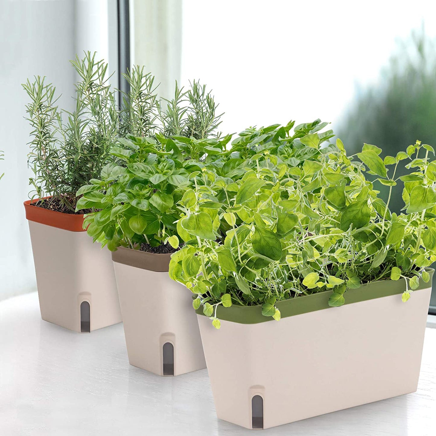 Window Planter Box - 3 Pack